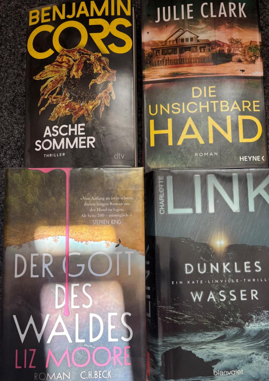 Covers von neuen Büchern auf einer Fläche liegend fotografiert. Titel Aschesommer, Die unsichtbare Hand, Der Gott des Waldes