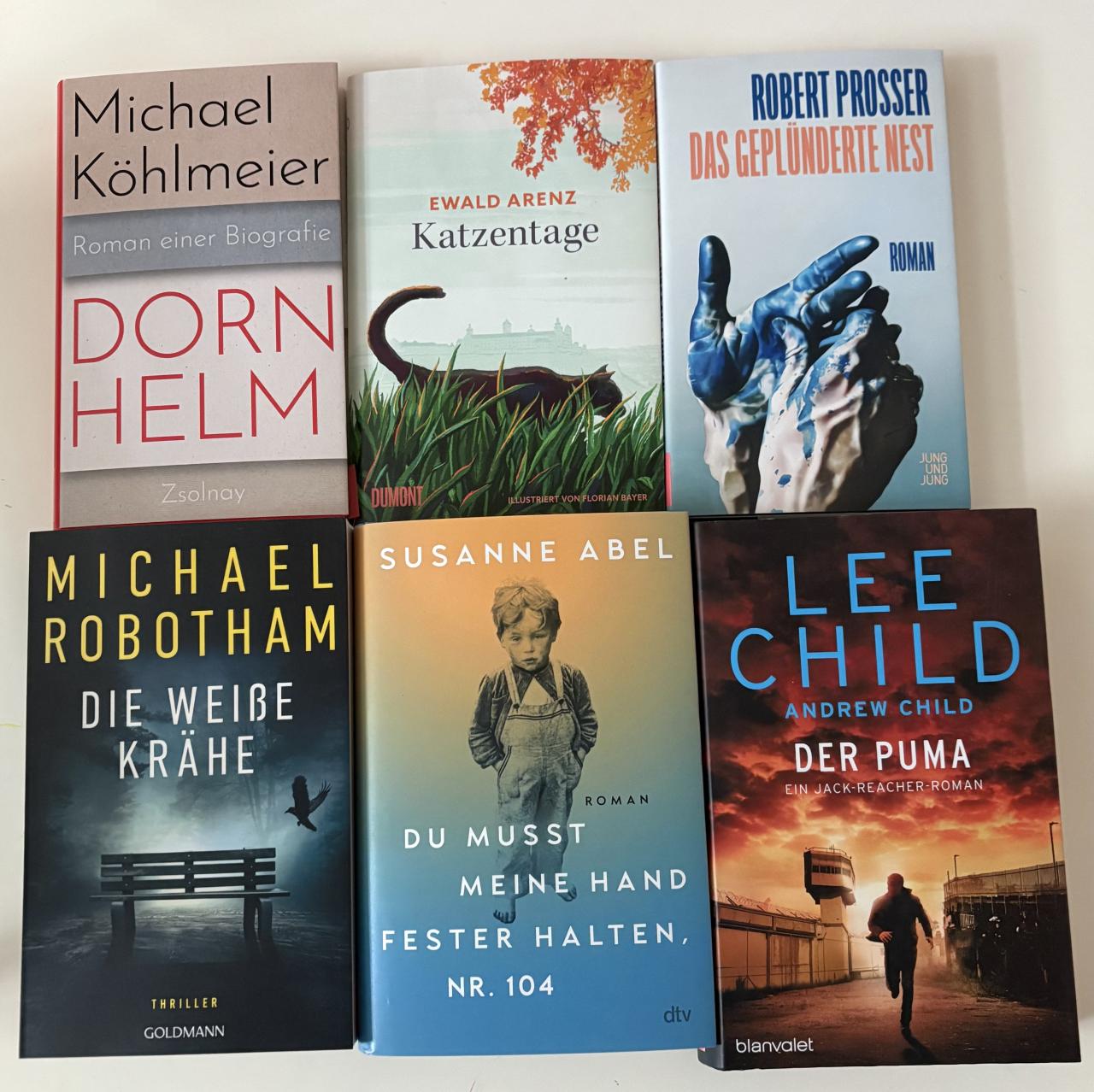 Buchtipps November 2025 - Buchcovers