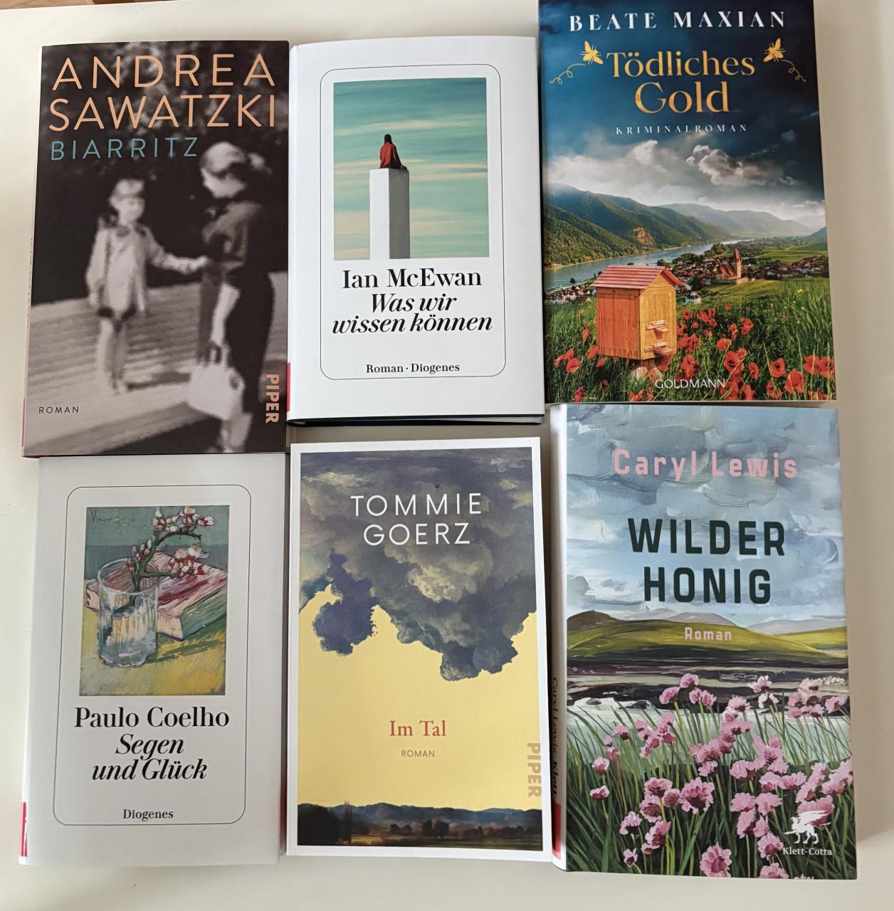 Buchtipps November 2025 - Buchcovers