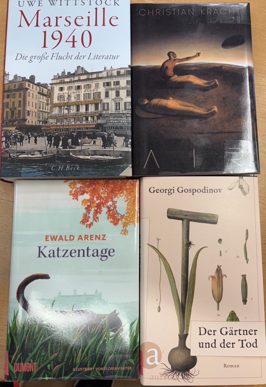 Buchtipps November 2025 - Buchcovers